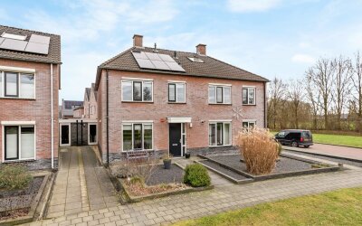 Veldleeuwerik 16