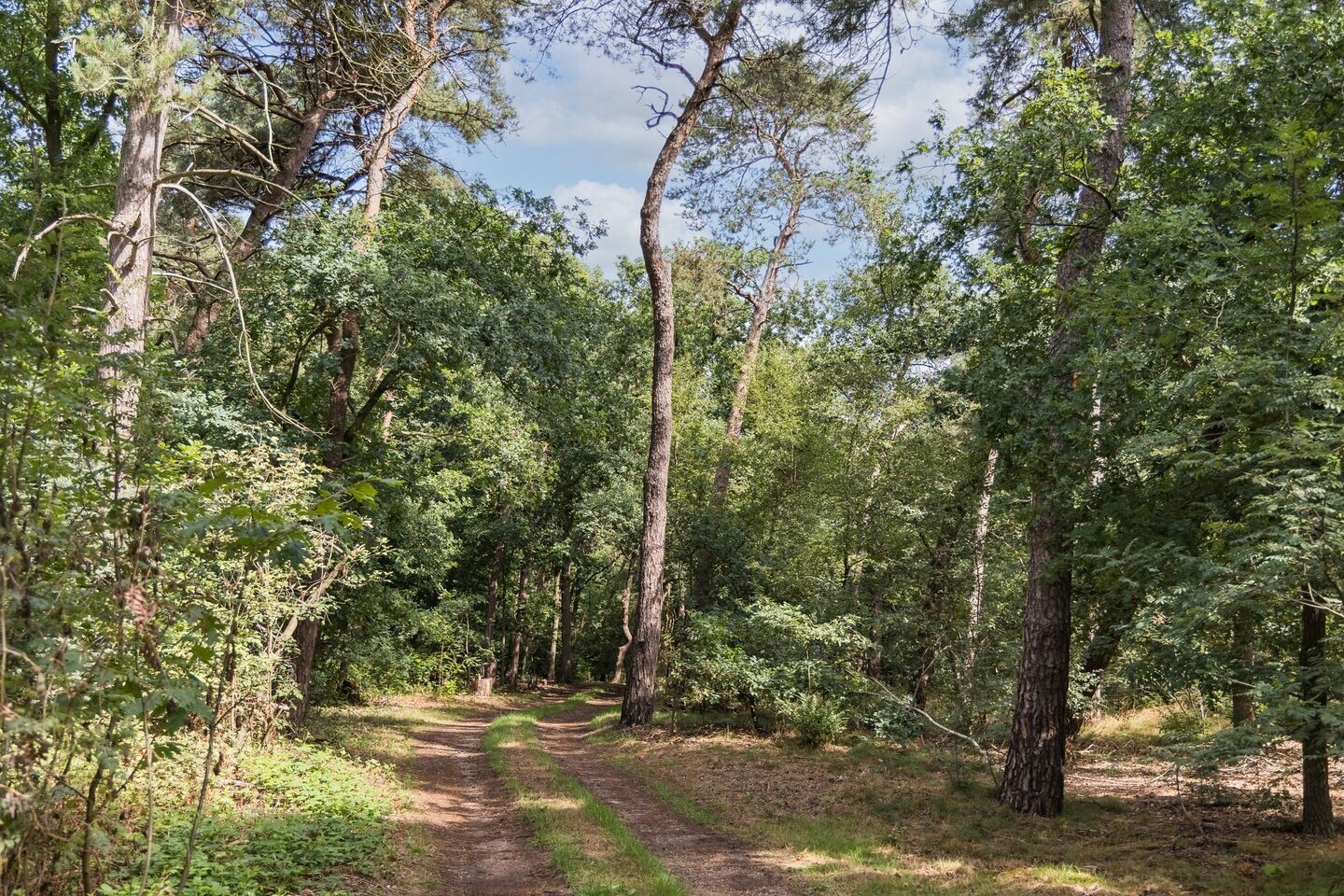 Vrijstaande woning te koop: Delmaweg 18, Geesteren