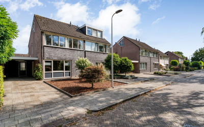 Meester Hol. 10