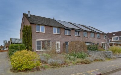 Gentiaan 50