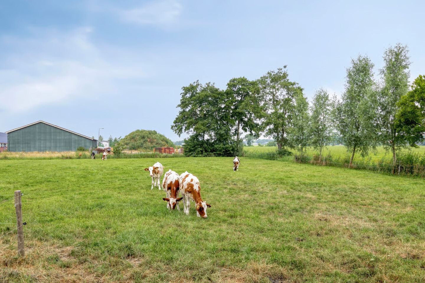 Vrijstaande woning te koop: Schapendijk 10, Punthorst