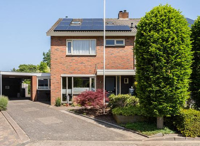 Teunisbloem 41