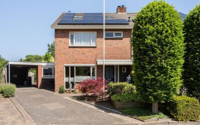 Teunisbloem 41