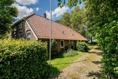 De Brandt 4