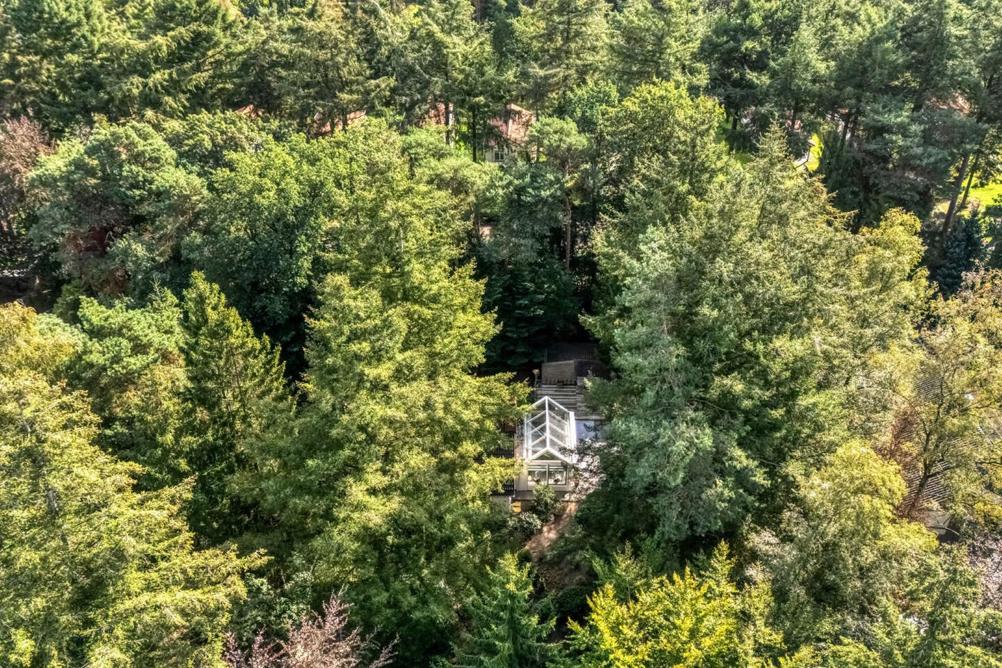 Vrijstaande woning te koop: Wolfskuillaan 19, Ommen