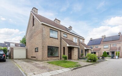 Roodborst 35