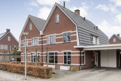 Moesdistel 11