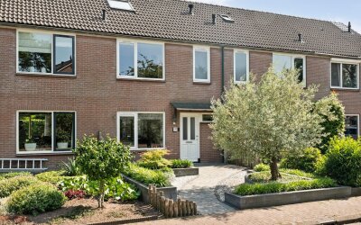 Ondermaat 41