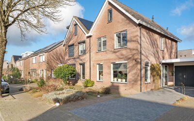 Pijlkruid 3