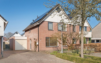 Zenegroen 12