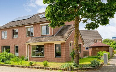 Zenegroen 2
