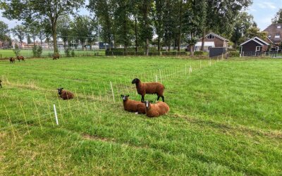 Huis te koop Horstra's wijk 9