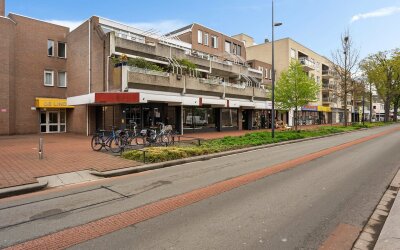 Wilhelminas. 81-D