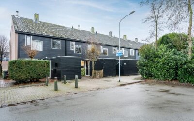 Ruinerbrink 153