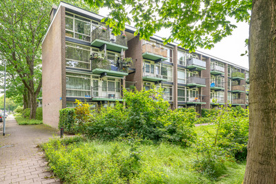 Haagjesweg 100
