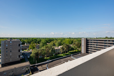 Houtweg 205