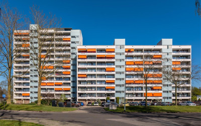 Holtlaan 95