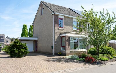 Bonte Specht 35