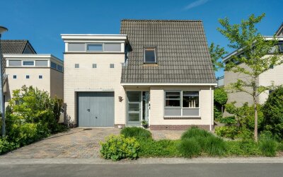 Witrugspecht 31