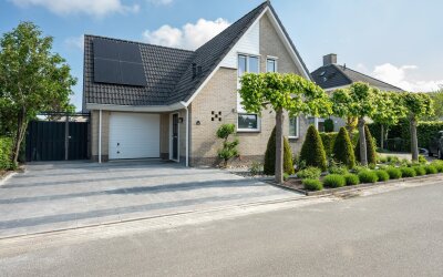 Witrugspecht 49