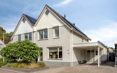 Grauwe Gans 8