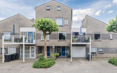 Grauwe Gans 30