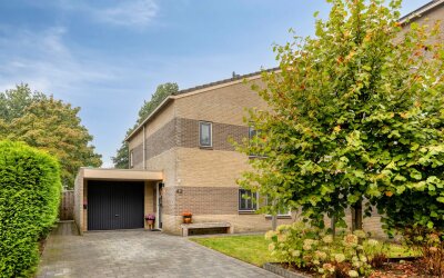 Grauwe Gans 42