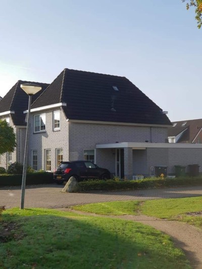 Purperreiger 7