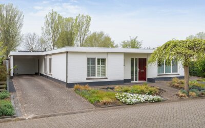 Koereiger 9