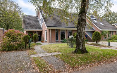 Boerhoorn 18