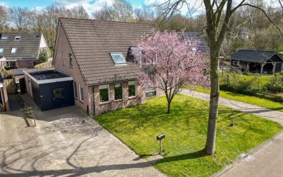 Boerhoorn 48-A