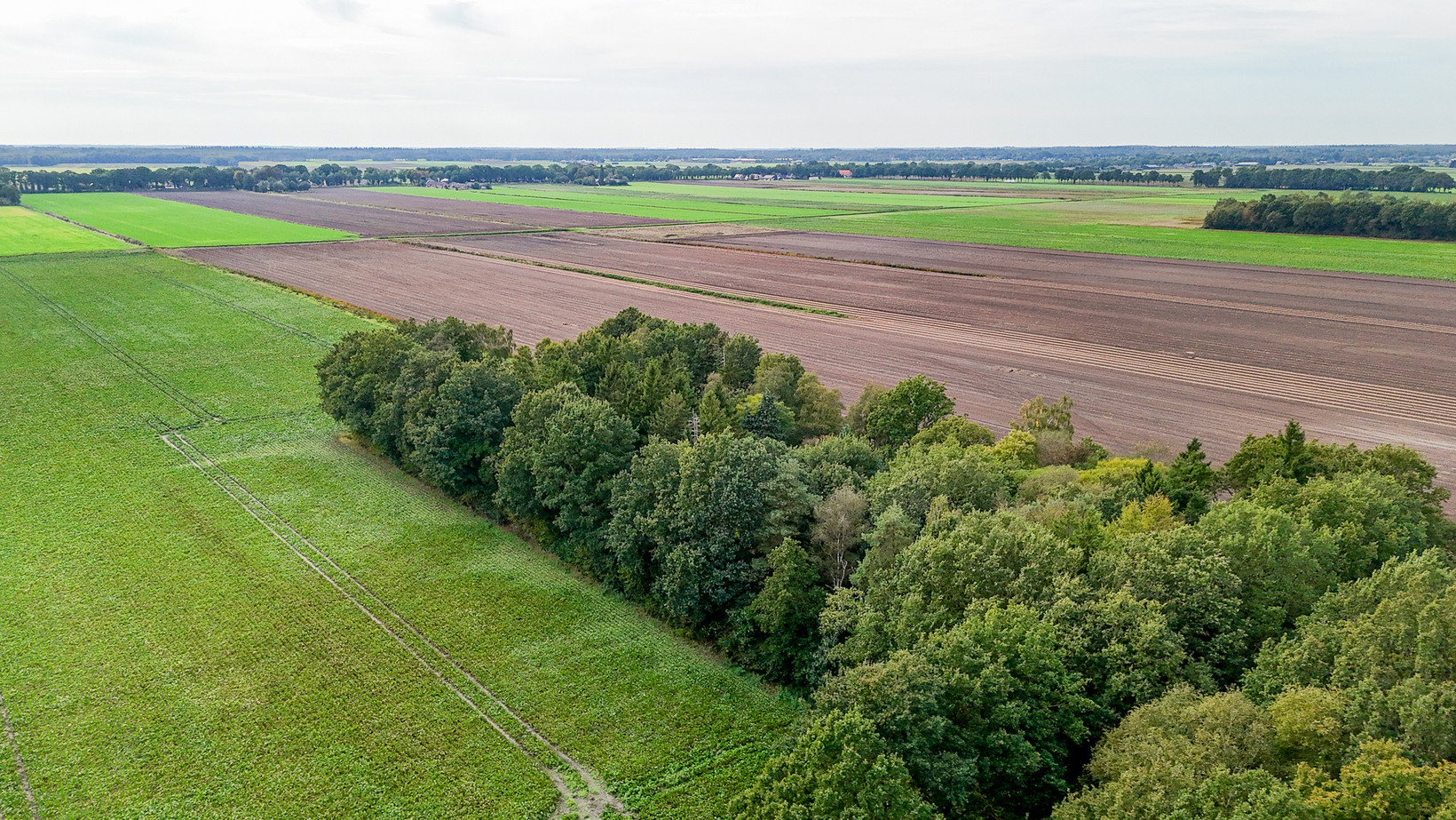Vrijstaande woning te koop: Achterweg 14, Odoornerveen