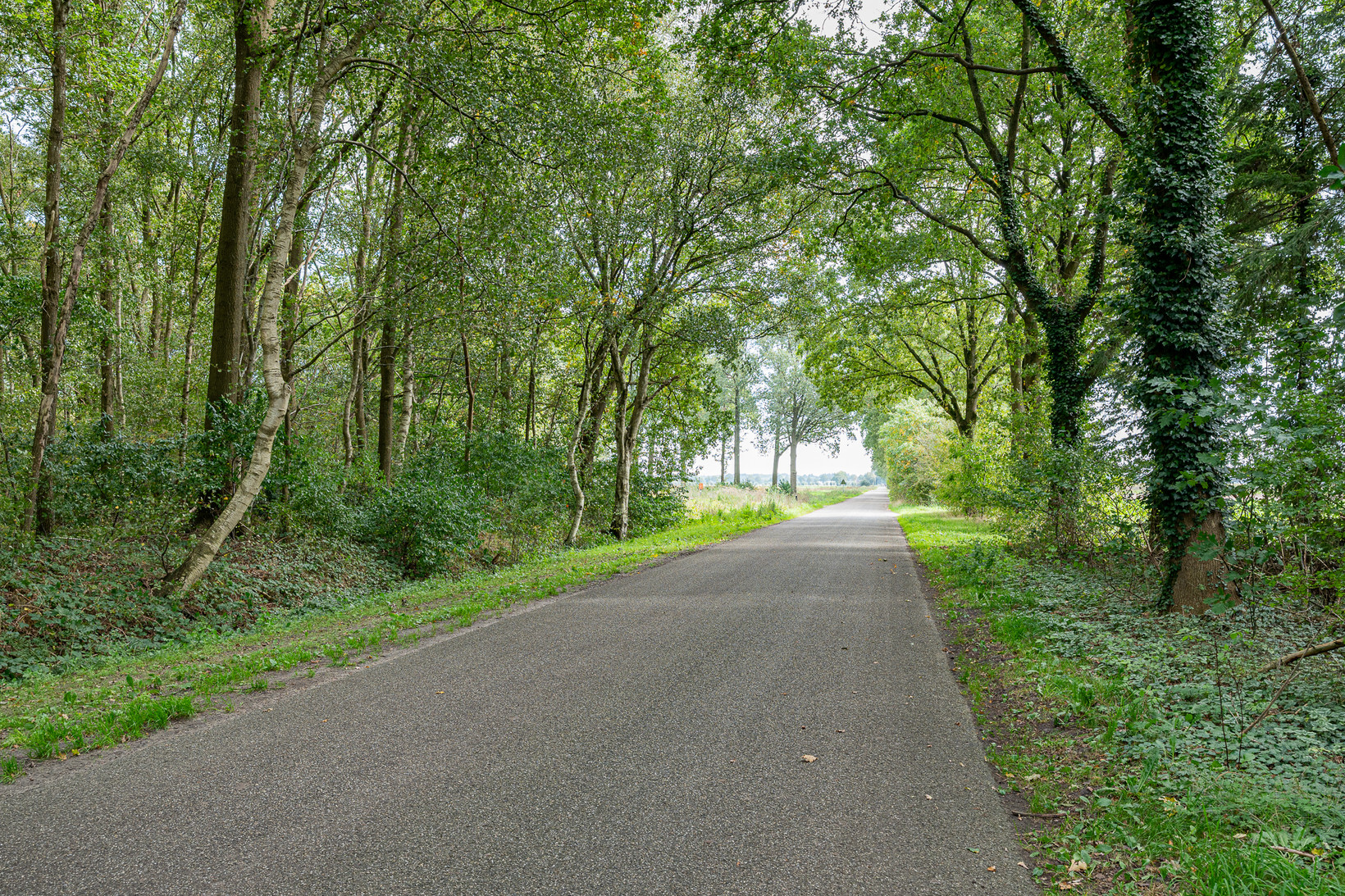 Vrijstaande woning te koop: Achterweg 14, Odoornerveen