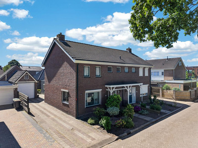 Scheerboom 4