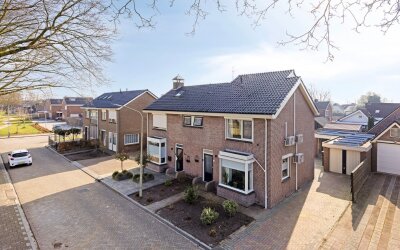 Scheerboom 6
