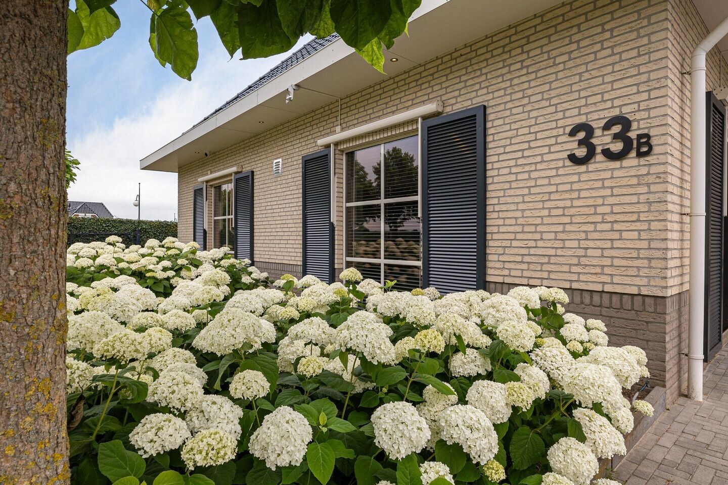 Vrijstaande woning te koop: Verlengde Vaart NZ 33B, Erica