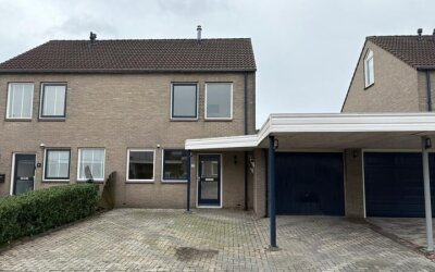 Akkerdistel 71