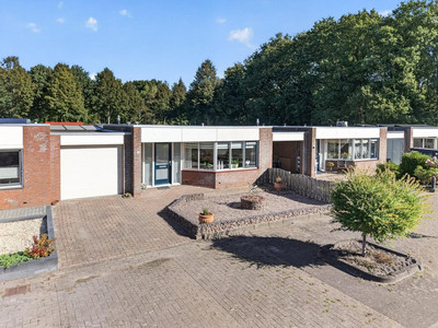 Akkerdistel 78
