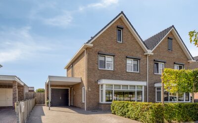 Leeuw 26