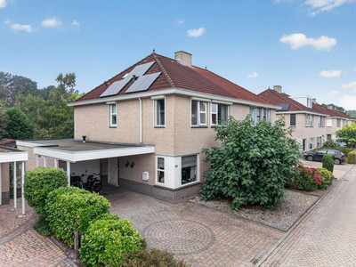 Andoorn 32