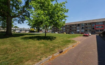Tulpenstraat 33