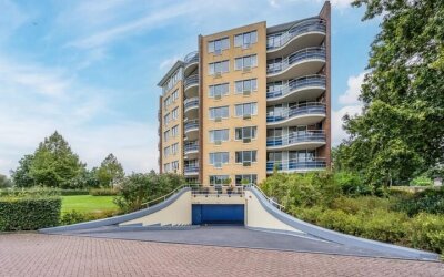 Rijn 55