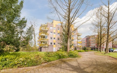 De Maaier 117