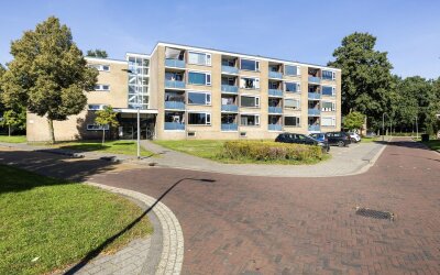 van Kuykstraat 79