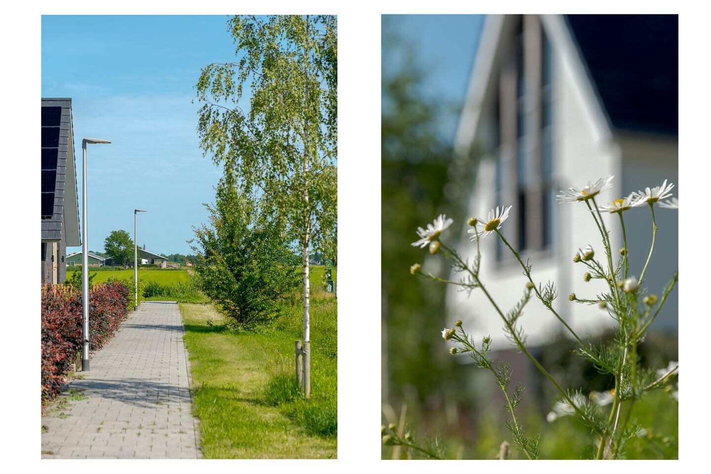 Vrijstaande woning te koop: Westergrift 53, Meppel