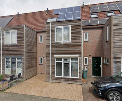Roerdomp 59