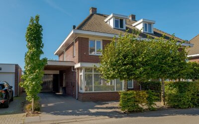 Wilgenroos 10