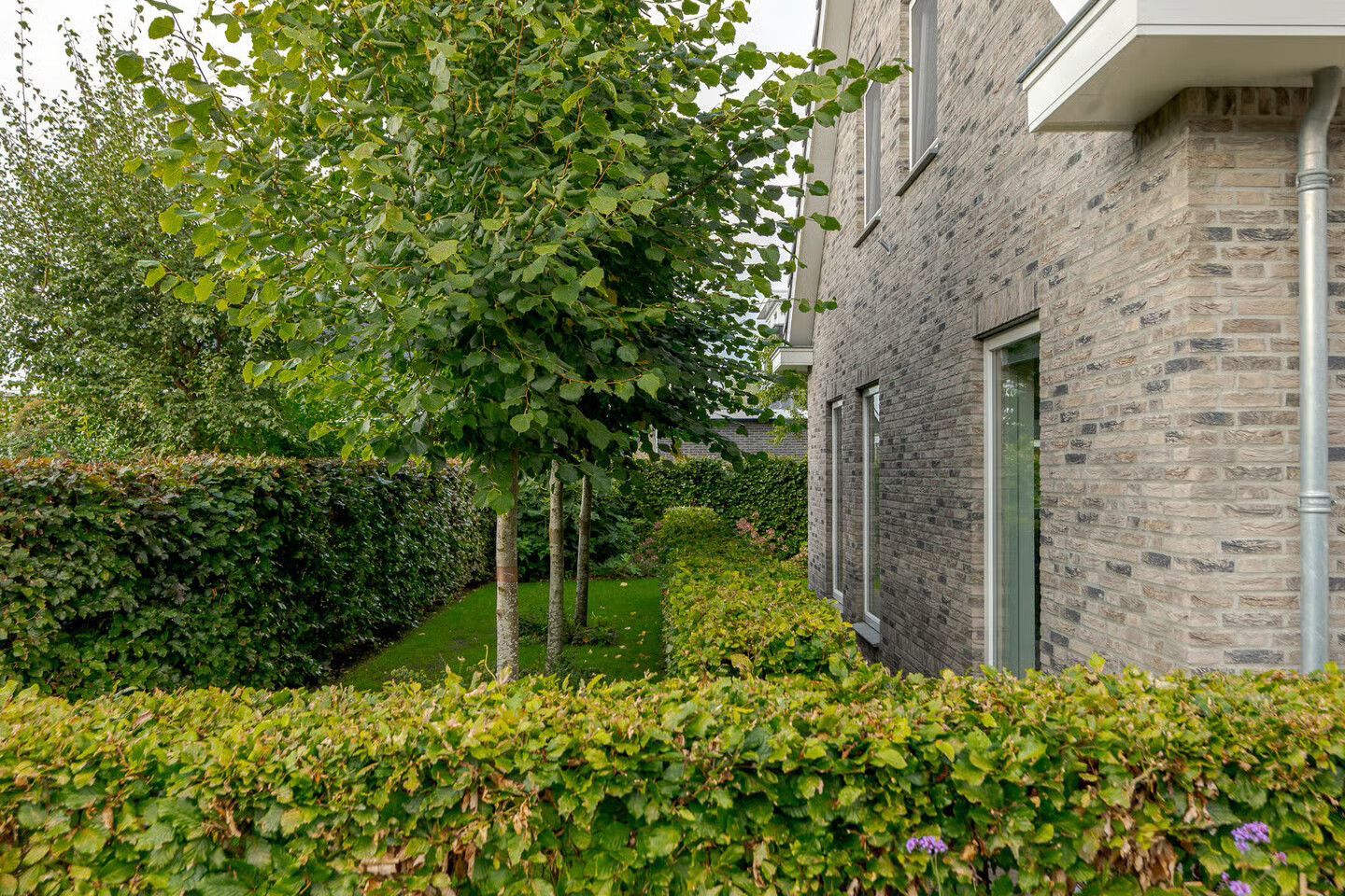 Vrijstaande woning te koop: De Ryge 27, Nijeveen