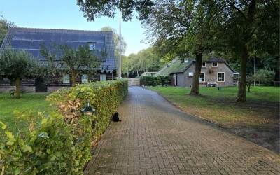 Galgenkamp 1