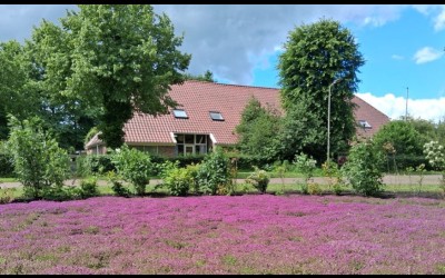 Van Osstraat 2